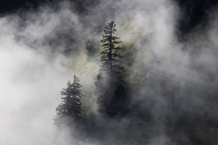 Brumes Lyriques